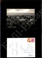 12205 Cartoline - Paesaggistiche - Lazio - Minturno (LT) - Panorama - 4.9.1965 FG - Other & Unclassified