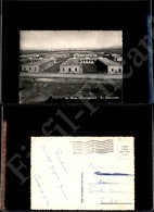 12210 Cartoline - Paesaggistiche - Lazio - Cecchignola-Roma - Le Casermette - 18.3.1952 FG - Other & Unclassified