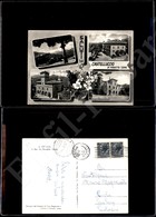 12217 Cartoline - Paesaggistiche - Emila Romagna - Castelluccio Di Porretta Terme (BO) - Saluti Da, 4 Immagini - 7.8.195 - Sonstige & Ohne Zuordnung