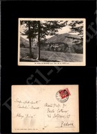 12236 Cartoline - Paesaggistiche - Lombardia - Selvino (BG) - Panorama, Un Saluto Da - 25.7.1937 FG - Other & Unclassified