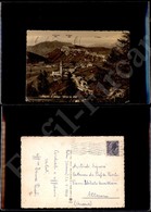 12253 Cartoline - Paesaggistiche - Veneto - Rotzo (VI) - Panorama - 28.7.1958 FG - Autres & Non Classés