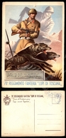 12298 Cartoline - Militari - 78° Regg. Fanteria Lupi Di Toscana, Nuova, FG - Autres & Non Classés