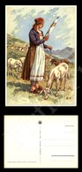 12339 Cartoline - Illustrate - Schweizer Trachten - Costumi Svizzeri - Tessin-Ticino - Nuova -formato Grande - Other & Unclassified
