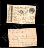 12465 Interi Postali - Intero Pubb. 1919-Leoni Cent.15 (R2/21) Walter Martiny - 25.11.19 - Altri & Non Classificati