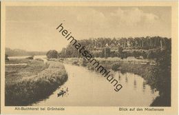 Alt-Buchhorst Bei Grünheide - Blick Auf Den Moellensee 30er Jahre - Verlag Louis Bernsee Erkner - Gruenheide