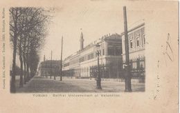 TORINO  Precursoria 1900  " Edifizi Universitari Al Valentino" - Educazione, Scuole E Università