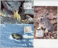 GREENLAND 1994 Native Mammals II On Maximum Cards.  Michel 249-51 - Cartoline Maximum