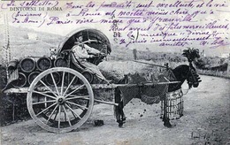 DINTORNI DI ROMA - Kutsche Mit Geschmücktem Pferd, Transport Von Fässer 1912 - Trasporti