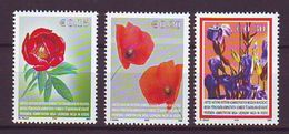 Kosovo - 2005, UN Issues Kosovo, 2005, Flowers 3v  ** Yt 28-30 - Kosovo