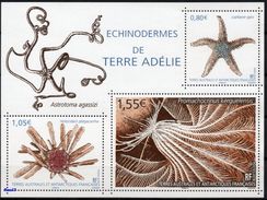 T.A.A.F. // F.S.A.T. 2018 - Échinodermes De Terre Adélie - BF Neufs // Mnh - Unused Stamps