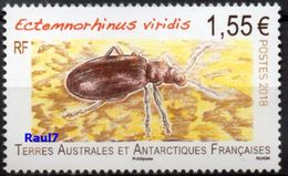T.A.A.F. // F.S.A.T. 2018 - Insectes, E.Viridis  - 1 Val Neufs // Mnh - Unused Stamps