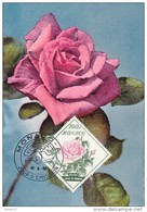 MONACO Carte Maximum - Rose "Grace De Monaco" - Maximumkaarten