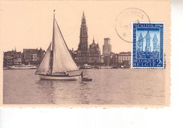 Carte Max 990 - Anvers - 1951-1960