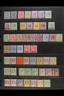 1882-1936 VERY FINE MINT COLLECTION On Stock Pages, All Different With A Few Shades, We See 1882 10c, 1883-91 To 24c Inc - Straits Settlements