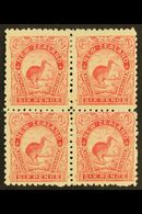 1899-1903 6d Pale Rose Kiwi, SG 265, Mint BLOCK OF FOUR, Gum Disturbed On Right Vertical Pair, The Lower Left Stamp Neve - Altri & Non Classificati