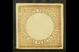 1863 1p Brown Arms SG 16, Scott 13, Mint With Four Margins And Large Part Gum, Small Marginal Tear And Pinhole For More  - Peru