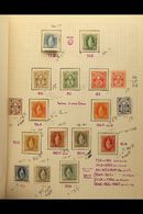 1899-1907 SEMI SPECIALIZED USED COLLECTION Neatly Presented In A File Folder. A Mint & Used, Semi Specialized Collection - Other & Unclassified