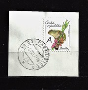 Czech Republic Tschechische Republik 2016 Gest Mi 900 European Tree Frog (Hyla Arborea). République Tchèque C6 - Used Stamps