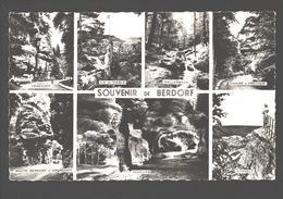 Berdorf - Souvenir De Berdorf - Carte Multivues - Berdorf