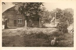 Postel : Rustig Hoekje Met Oude Boerderij ( Hoeve) - Retie