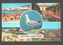 Weston-super-Mare - Multiview - Weston-Super-Mare