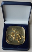 Médaille En Bronze . Cyclisme . Cycling . En 3 D - Wielrennen