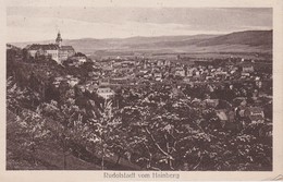 ALLEMAGNE  1921 CARTE POSTALE DE RUDOLSTADT - Rudolstadt