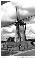 SCHELDERODE Bij Merelbeke (O.Vl.) - Molen/moulin - Mooie Kaart Van De Schelderomolen In 1987 Vóór De Restauratie. - Merelbeke