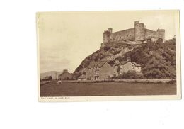 Cpa - The Castle HARLECH - Cheval Au Pré Chateau - D.H. PARRY - Merionethshire