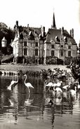 PARC ZOOLOGIQUE DE CLERES  . LE CHATEAU ET LES FLAMANTS ROSES - Clères