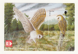 Jersey 2001 Birds Of Prey Miniature Sheet Hafnia Logo-  Unmounted Mint NHM1 - Jersey