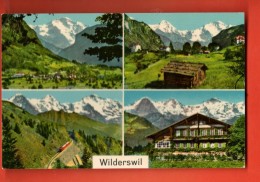 GAS-12  Multivues Wilderswil. Stempel Hotel Schynige Platte. Nicht Gelaaufen. Verlag Steinhauer 8056 - Wilderswil