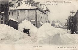 Saint-Pierre - Sous La Neige - Saint-Pierre-et-Miquelon