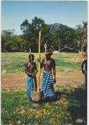 AFRIQUE,SENEGAL,FEMME,FEMMES,SEIN NU,NUS,PILEUSE DE MIL,PHOTOGRAPHE CHARETON DE DAKAR - Senegal