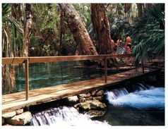 (6666) Australia - NT - Mataranka Thermal Pool - Non Classificati