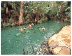 (6666) Australia - NT - Mataranka Thermal Pool - Unclassified