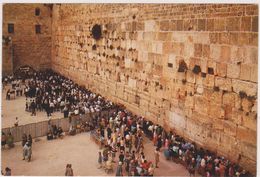 ISRAEL,TERRE SAINTE POUR LES JUIFS ,JUDAICA,JUDAISME,JERUSALEM,TEMPLE DE SALOMON,SEPARATION HOMME ET FEMME,PRIERE - Israël