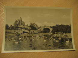 HAMBURG Grosser Vogelteich Africa Steppe Hagenbecks Tierpark Stellingen Zoo Post Card Germany - Stellingen