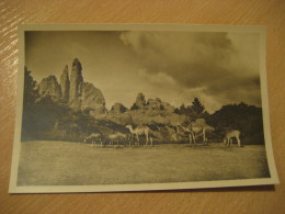 HAMBURG Camel Africa Steppe Hagenbecks Tierpark Stellingen Zoo Post Card Germany - Stellingen