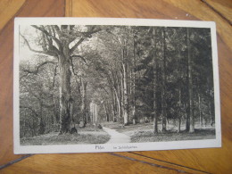 PLON Im Schlossgarten Castle Garden Post Card Schleswig-Holstein Germany - Ploen