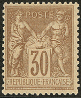 ** No 80, Brun-jaune, Très Frais. - TB - 1876-1878 Sage (Type I)