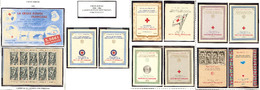 ** Croix-Rouge. Collection. 1953-2008, Complète Dont 1953(2), + Carnet 1952 Sans Sa Couverture. - TB - Other & Unclassified