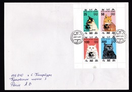 Georgia - Batum/Batumi: Cover, 1994, Mini Sheet, 4 Stamps, Cat, Overprint Philakorea, Rare Real Use (traces Of Use) - Georgia