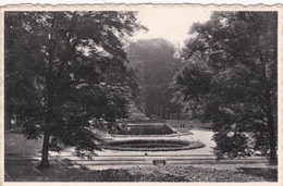 Brasschaat - Gemeentepark (zicht Van Uit 't Kasteel) - 1961 - Brasschaat