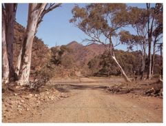 (555) Australia - SA - Flinders Ranges - Flinders Ranges