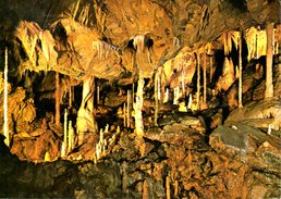 ALLEMAGNE. Carte Postale Neuve. Attendorn. Grotte. - Attendorn