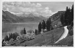 BECKENRIED → Alte Strasse Zwischen Beckenried Und Emmeten, Fotokarte Ca.1935 - Beckenried