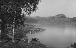 EMMETTEN → Ausblick Vom Friedheim Auf Den Vierwaldstättersee, Ca.1940 - Emmetten