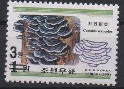 North Korea Corée Du Nord Nordkorea 2006 Mi. 5070 Surchargé OVERPRINT Flora Mushroom Champignon Pilz MNH** RARE - Pilze