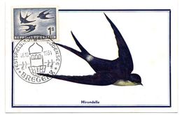 OISEAU / HIRONDELLES - HIRONDELLE = AUTRICHE 1964  N° PA 55  = CARTE MAXIMUM - Hirondelles